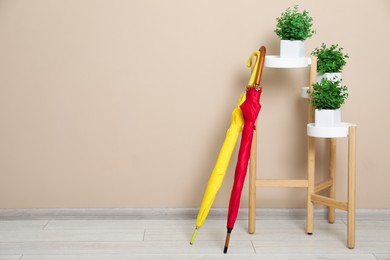 Colorful umbrellas and houseplants near beige wall, space for text