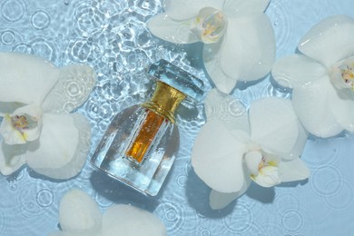 Beautiful orchid flowers and bottle of perfume in water on light blue background, flat lay