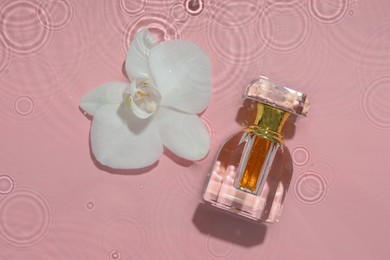 Photo of Beautiful orchid flower and bottle of perfume in water on pink background, flat lay