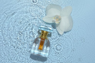 Beautiful orchid flower and bottle of perfume in water on light blue background, flat lay