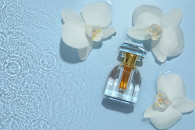 Photo of Beautiful orchid flowers and bottle of perfume in water on light blue background, flat lay