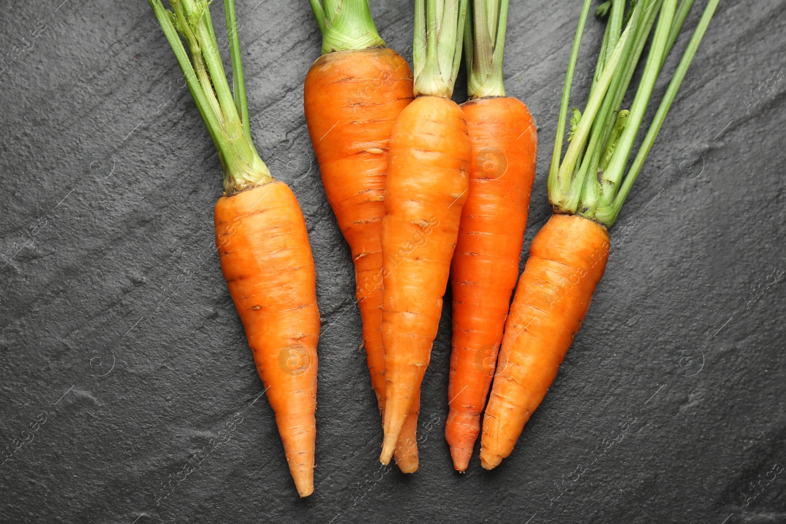 Photo of Tasty ripe juicy carrots on dark gray textured table, top view