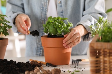 Photo of Woman transplanting herb into pot at table indoors, closeup