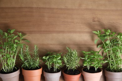 Different herbs growing in pots on wooden background, flat lay. Space for text