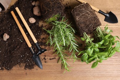 Photo of Transplanting plant. Fresh herbs, clay pebbles and gardening tools with soil on wooden table, flat lay