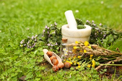 Photo of Different ingredients for tincture, mortar and pestle outdoors