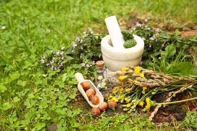 Photo of Different ingredients for tincture, mortar and pestle outdoors