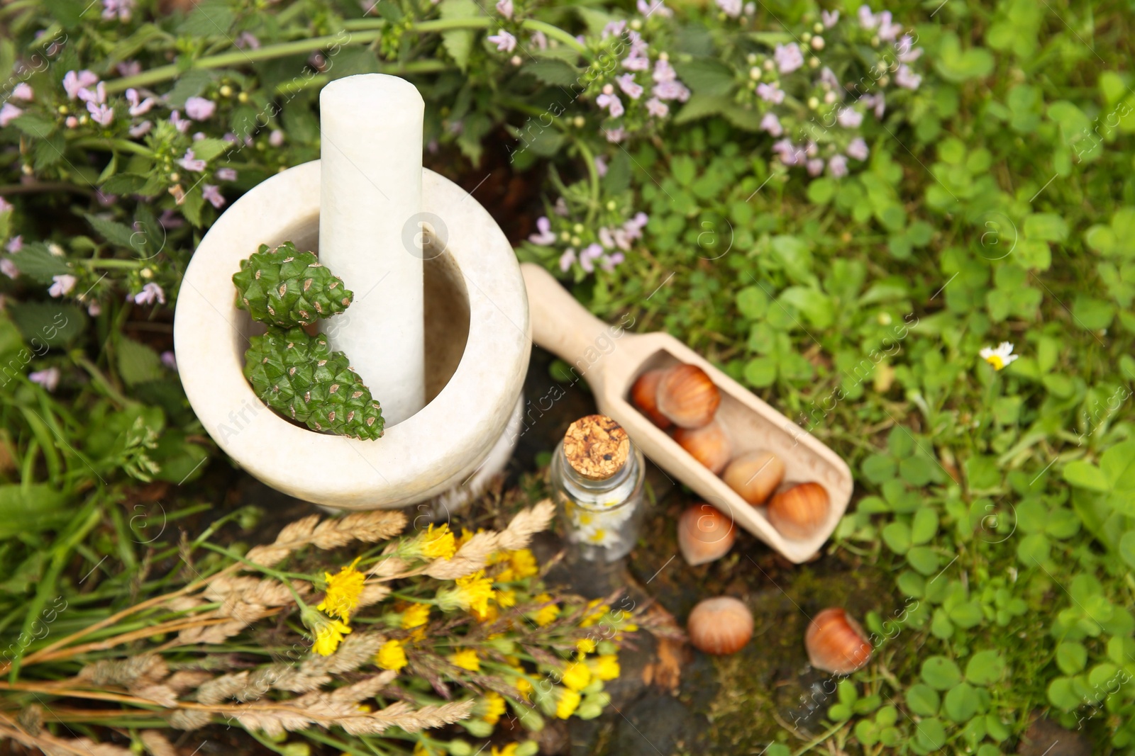 Photo of Different ingredients for tincture, mortar and pestle outdoors, top view