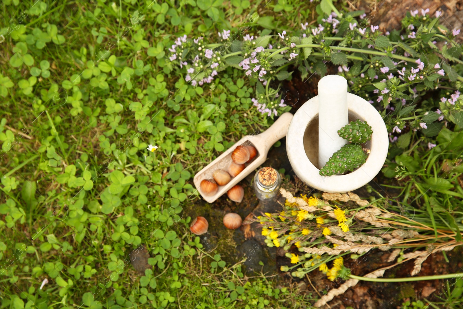 Photo of Different ingredients for tincture, mortar and pestle outdoors, top view