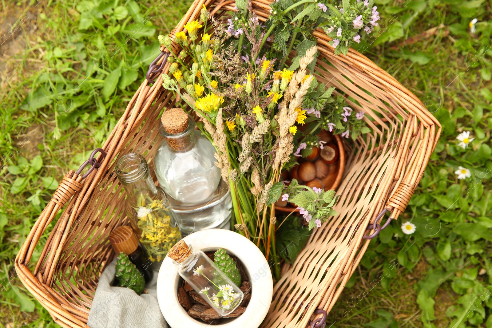 Photo of Tincture and different ingredients in wicker basket outdoors, top view