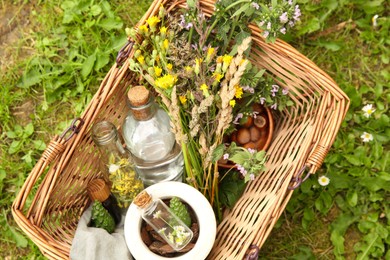 Photo of Tincture and different ingredients in wicker basket outdoors, top view