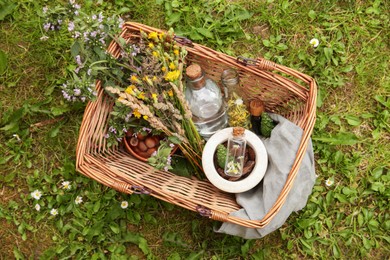 Tincture and different ingredients in wicker basket outdoors, top view