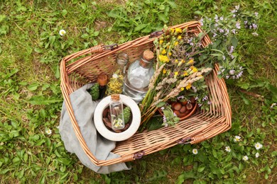 Tincture and different ingredients in wicker basket outdoors, top view