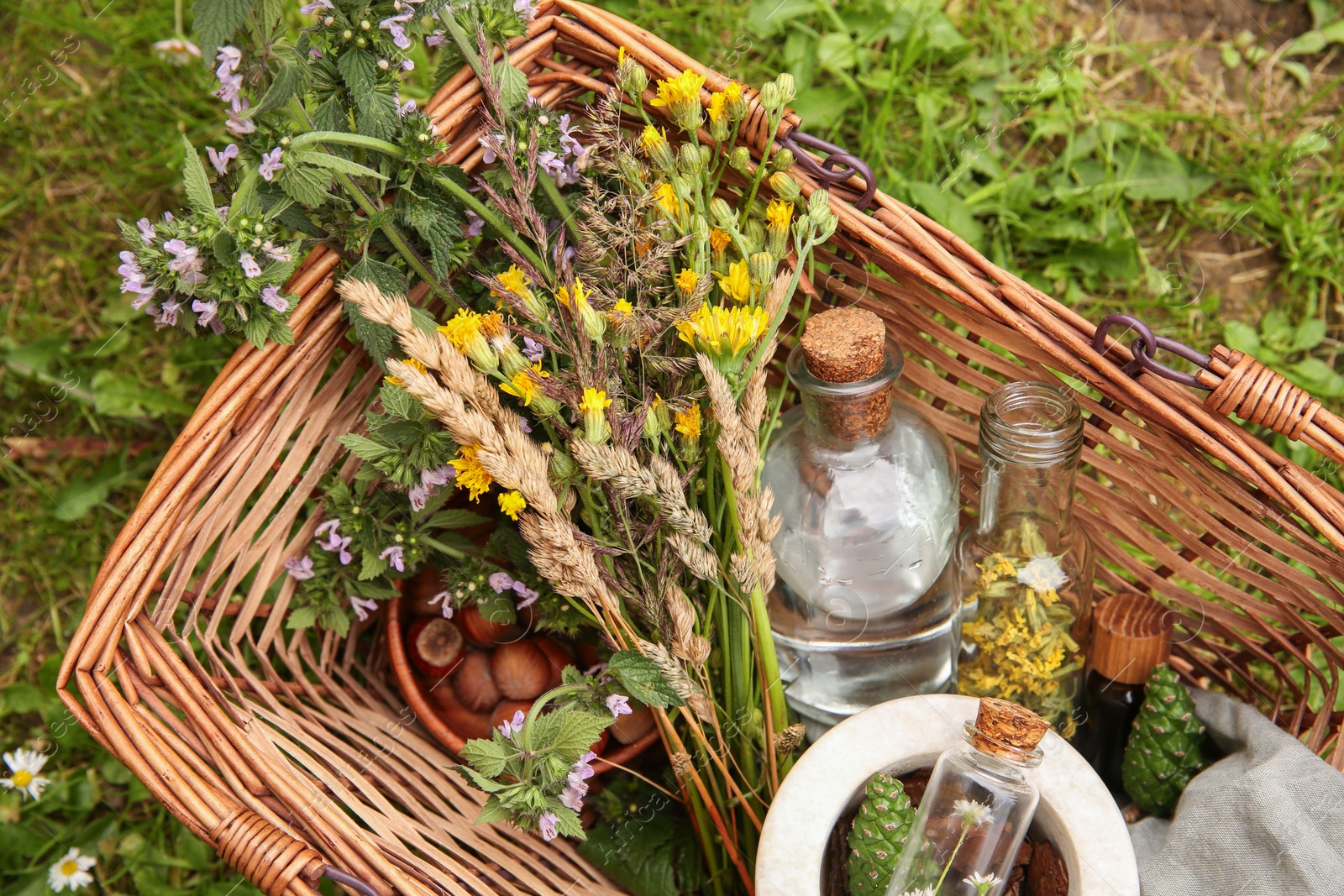 Photo of Tincture and different ingredients in wicker basket outdoors, top view