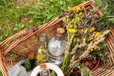 Photo of Tincture and different ingredients in wicker basket outdoors, top view