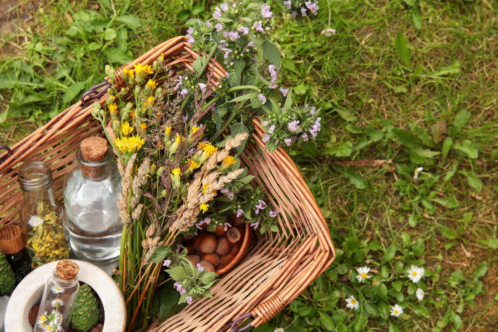 Photo of Tincture and different ingredients in wicker basket outdoors, top view. Space for text