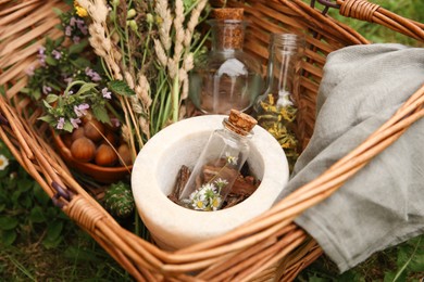 Photo of Tincture and different ingredients in wicker basket outdoors, closeup