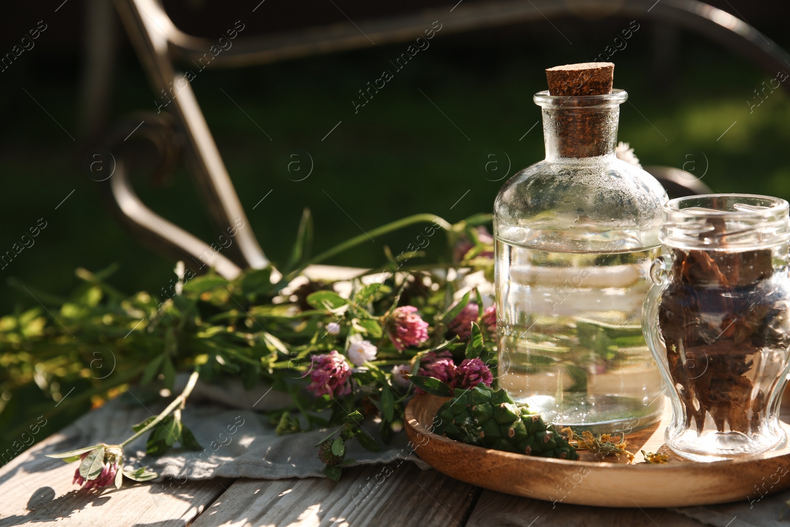 Photo of Tincture in bottle, flowers and pine cone on wooden bench outdoors, closeup