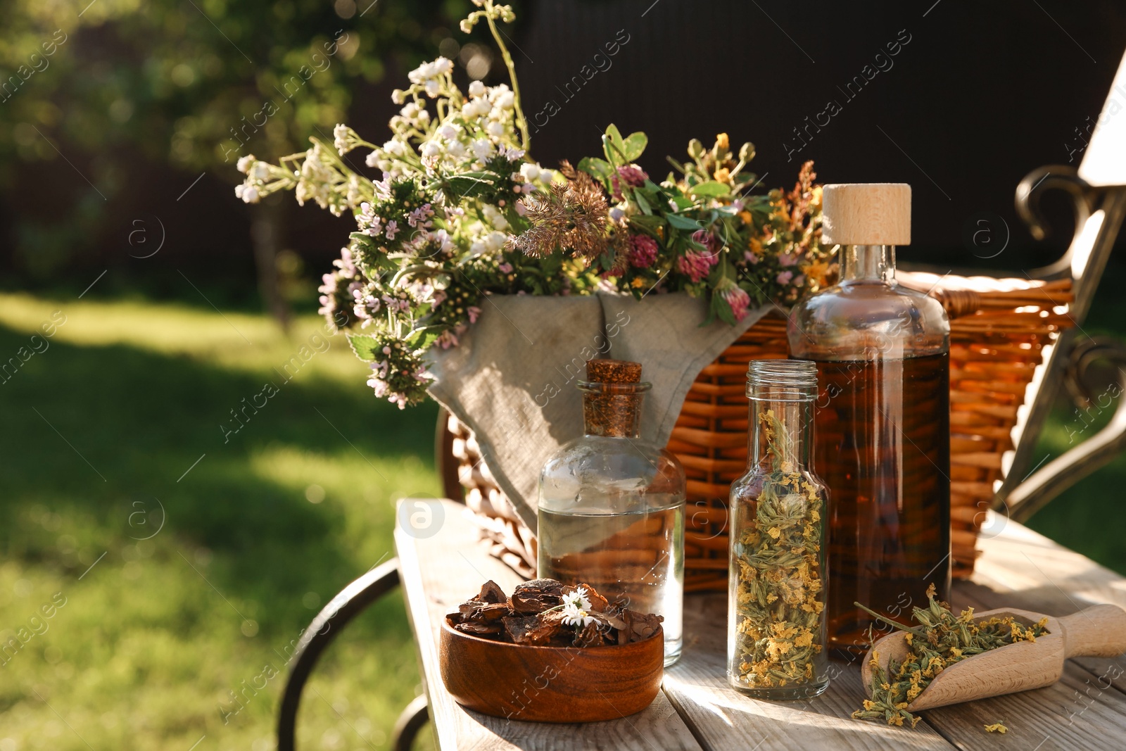 Photo of Different tinctures in bottles, bark chips and flowers on wooden bench outdoors