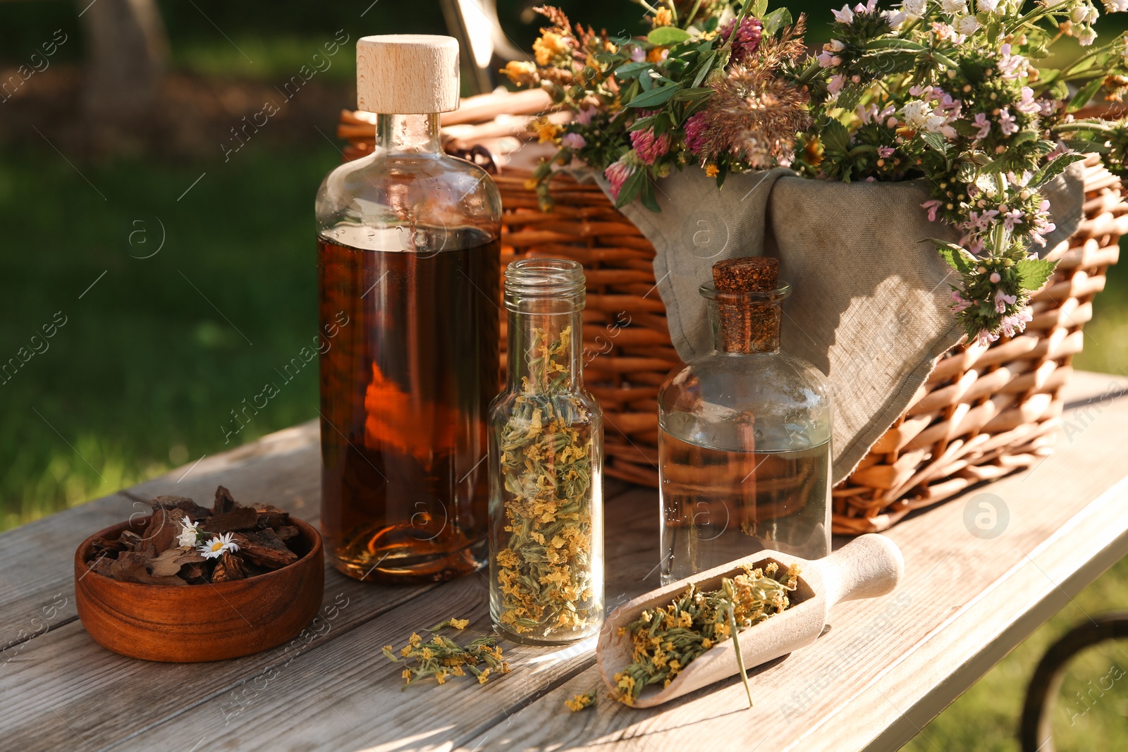 Photo of Different tinctures in bottles, bark chips and flowers on wooden bench outdoors