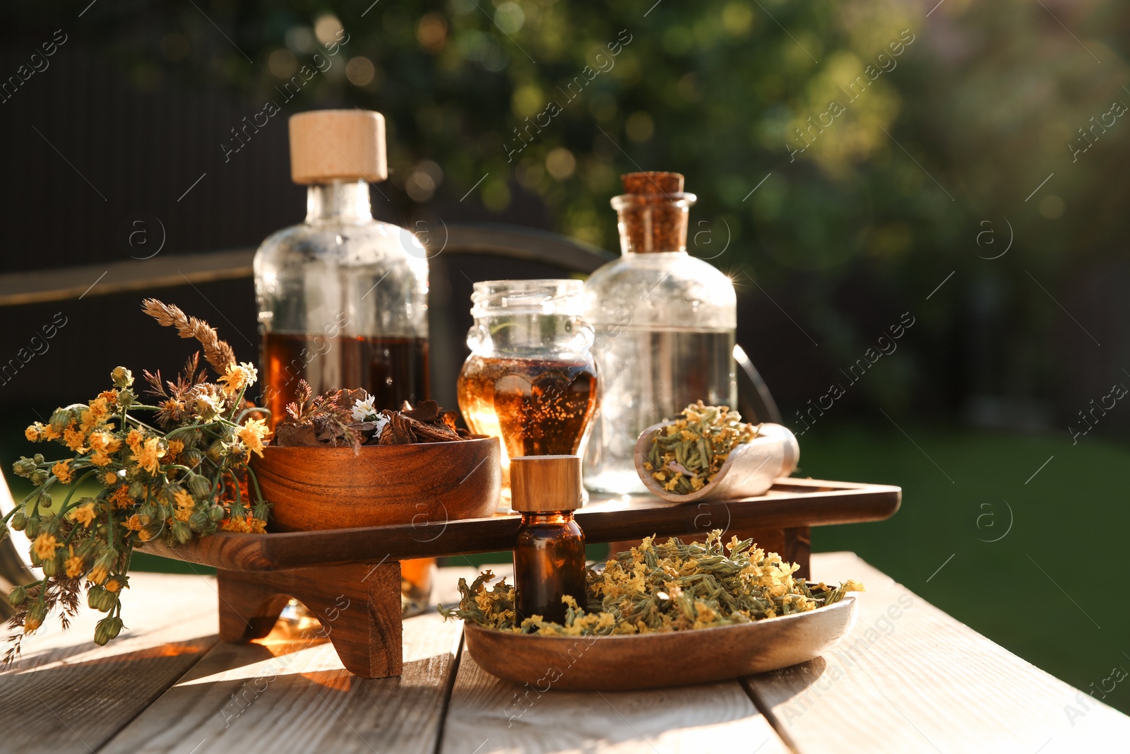 Photo of Different tinctures in bottles, bark chips and flowers on wooden bench outdoors