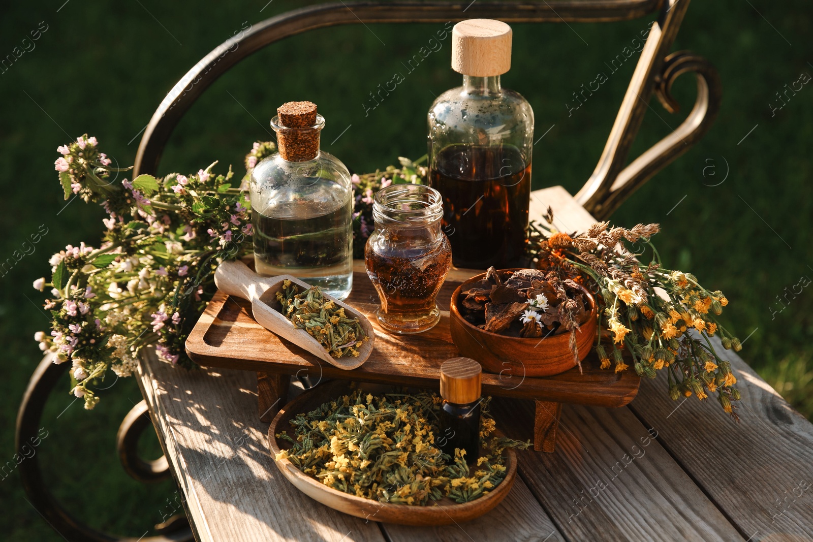 Photo of Different tinctures in bottles, bark chips and flowers on wooden bench outdoors