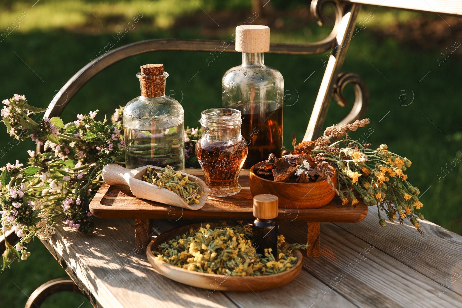 Photo of Different tinctures in bottles, bark chips and flowers on wooden bench outdoors