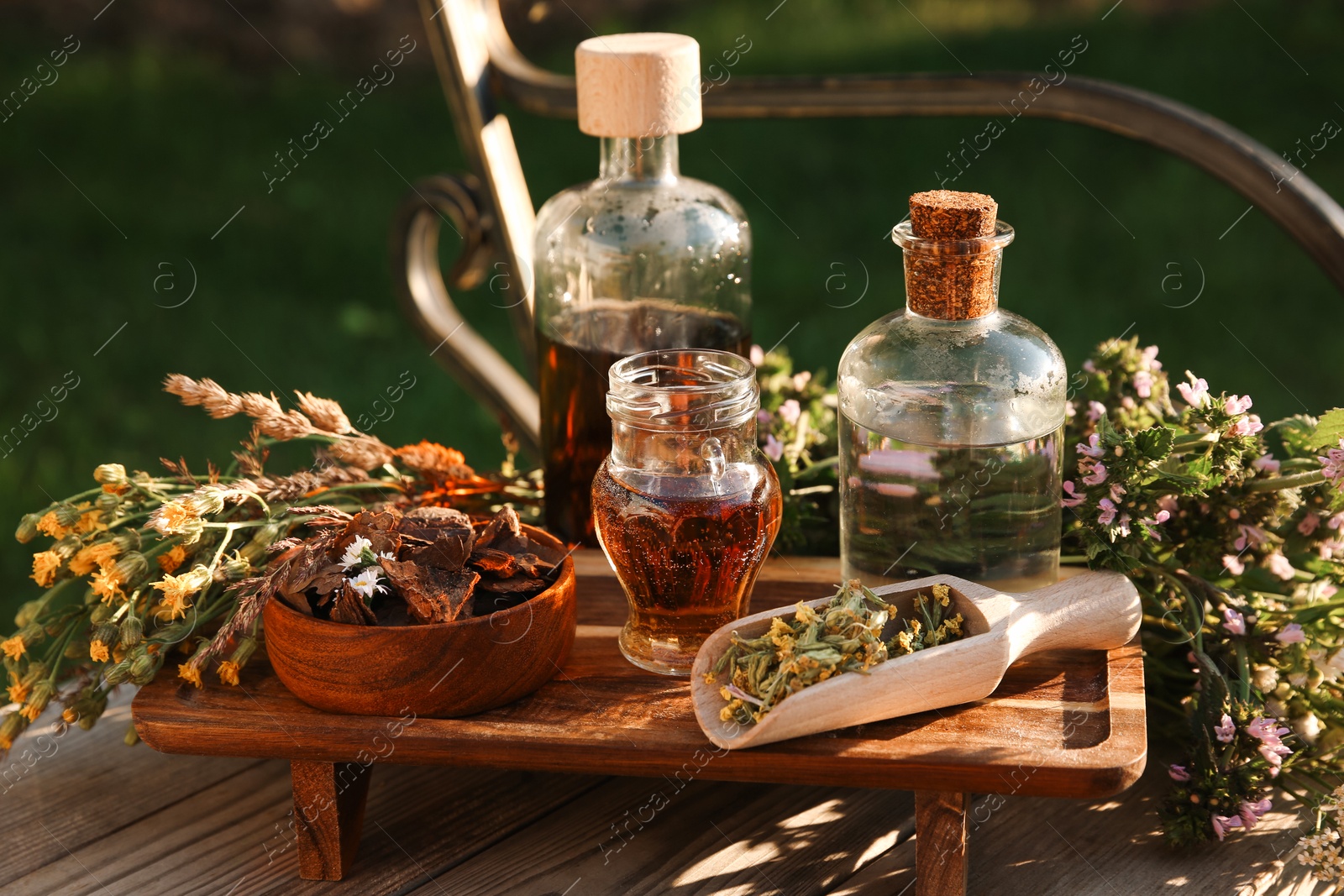 Photo of Different tinctures in bottles, bark chips and flowers on wooden bench outdoors, closeup