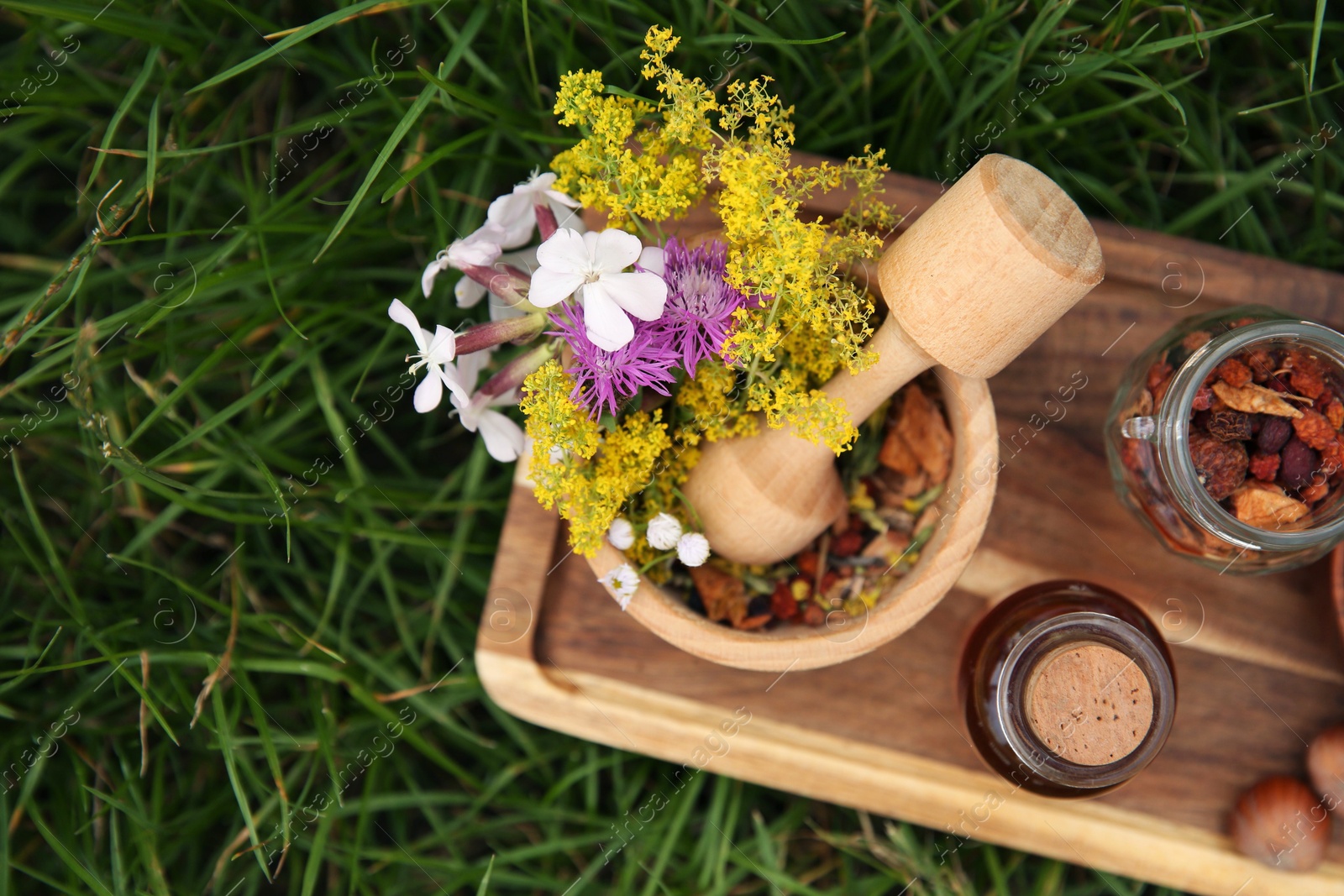 Photo of Tincture in bottle, different ingredients, mortar and pestle on green grass outdoors, top view. Space for text