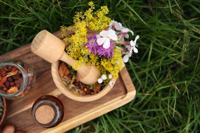 Tincture in bottle, different ingredients, mortar and pestle on green grass outdoors, top view. Space for text