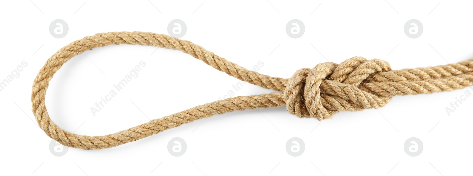 Photo of Hemp rope with loop isolated on white, top view