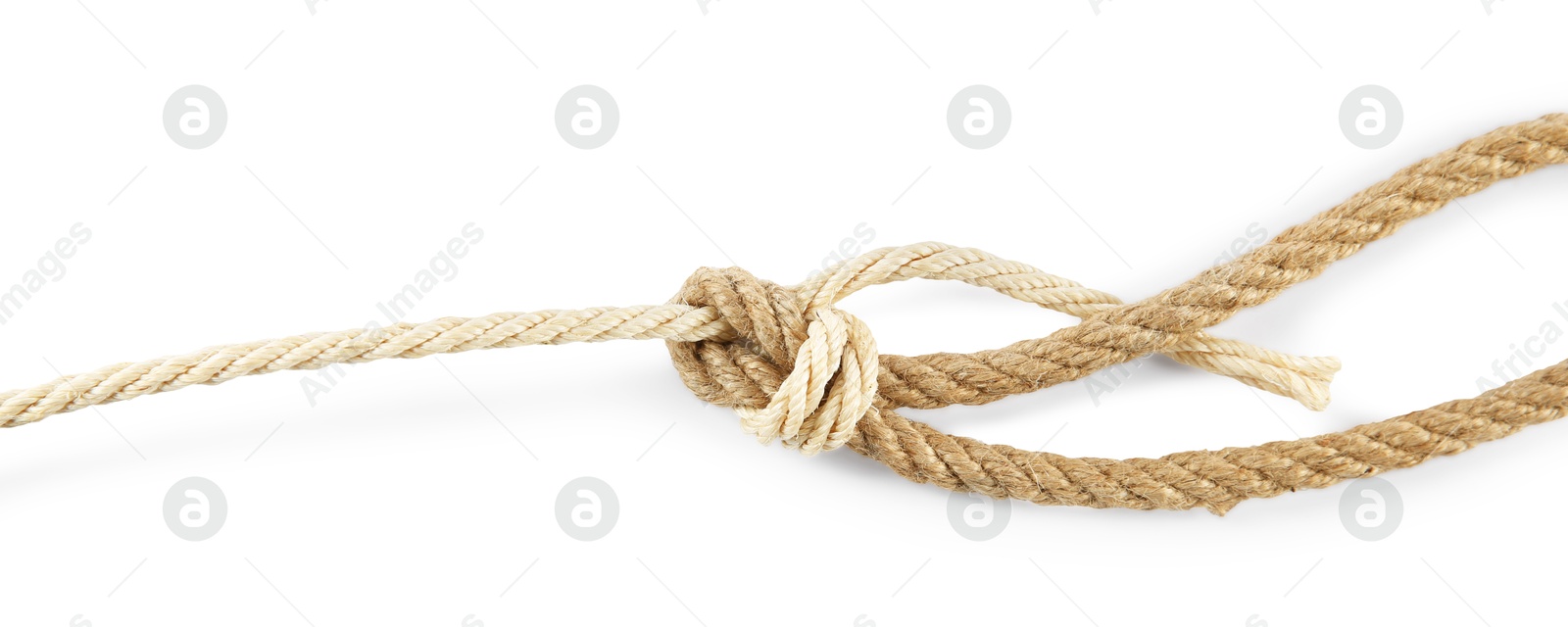 Photo of Hemp ropes with knots isolated on white