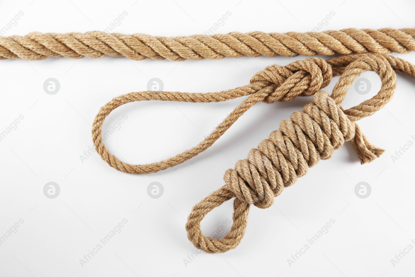 Photo of Hemp ropes on white background, top view