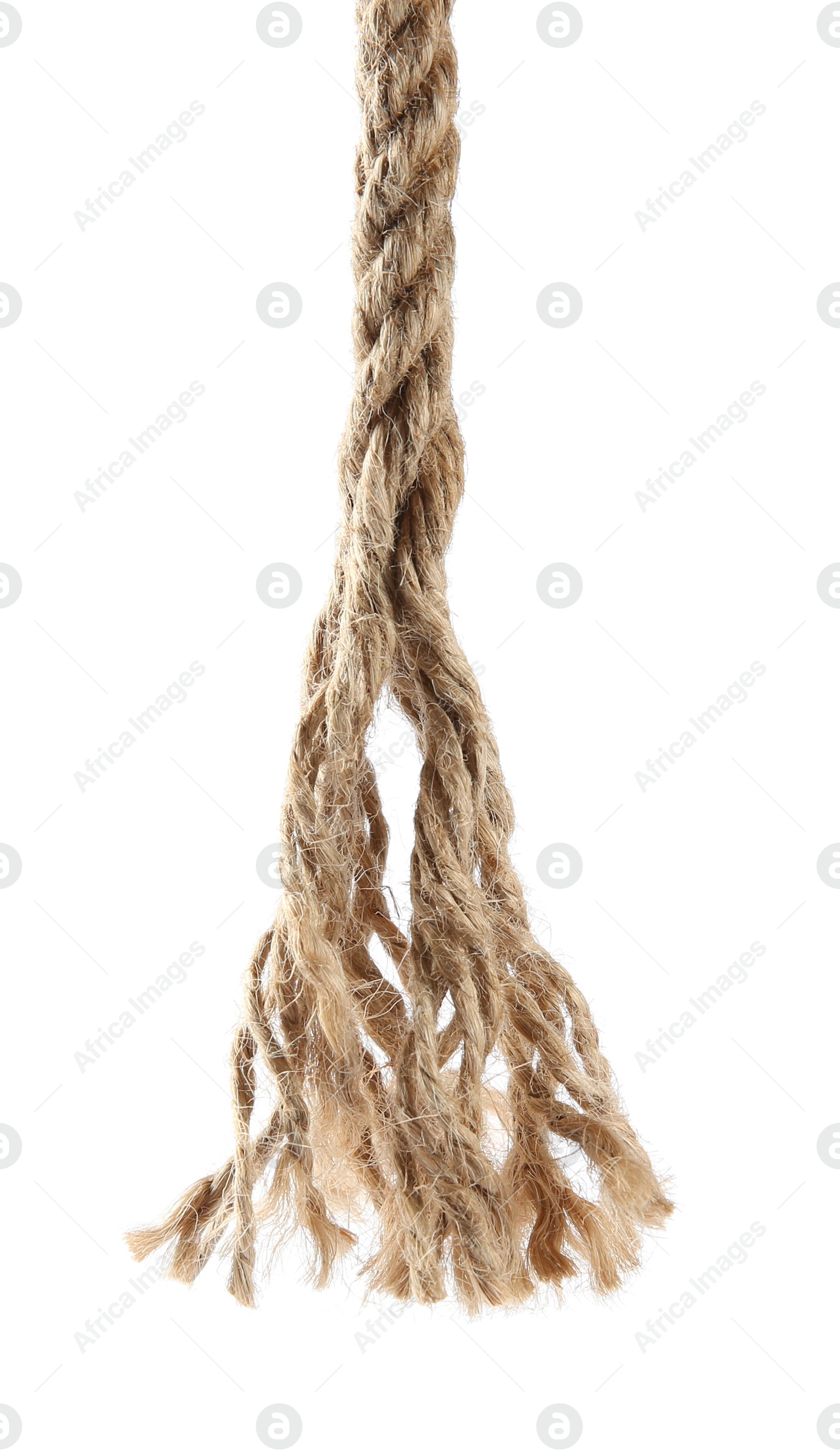 Photo of Hemp rope isolated on white. Organic material