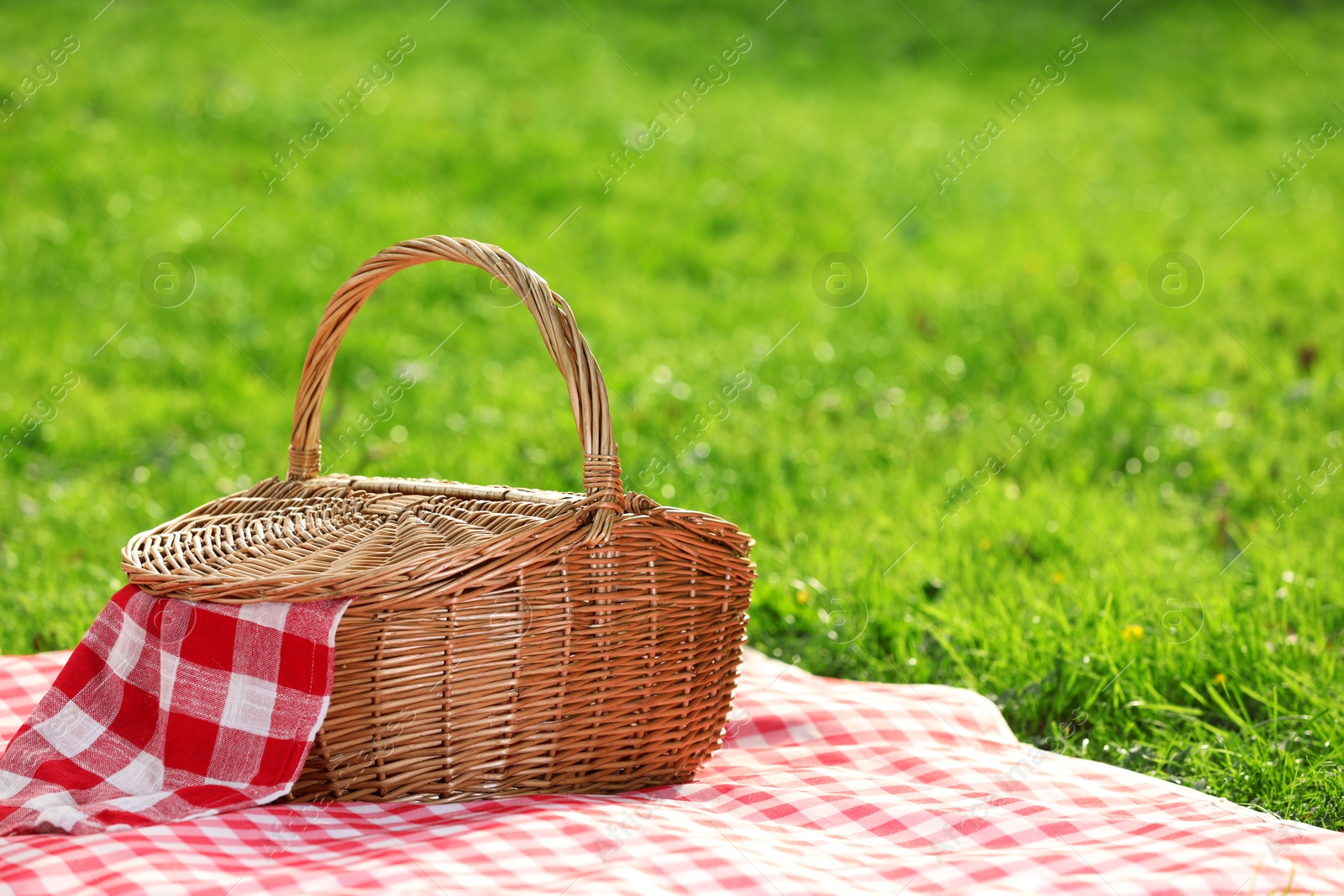 Photo of One picnic wicker basket with checkered napkin and blanket on green grass. Space for text