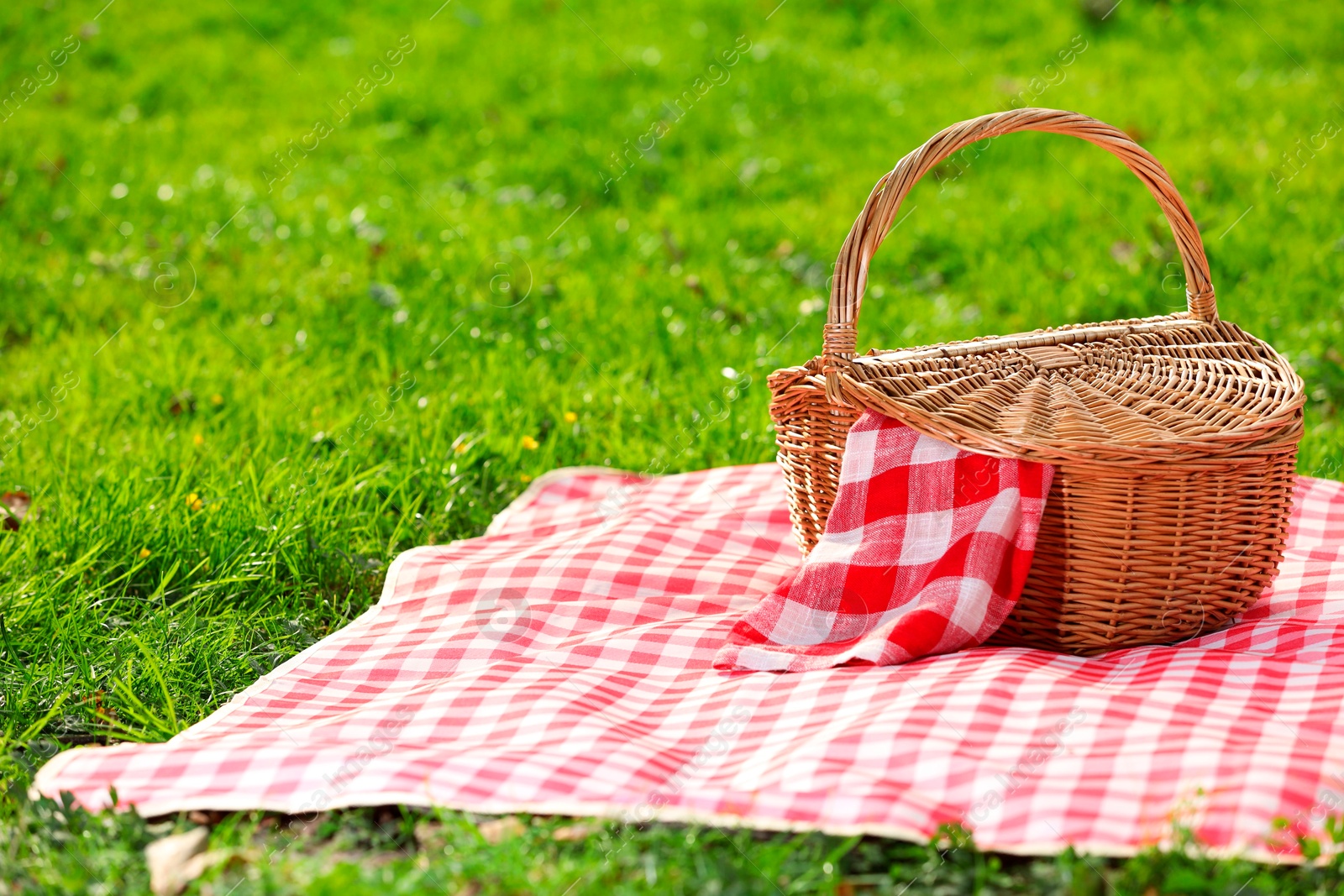 Photo of One picnic wicker basket with checkered napkin and blanket on green grass. Space for text