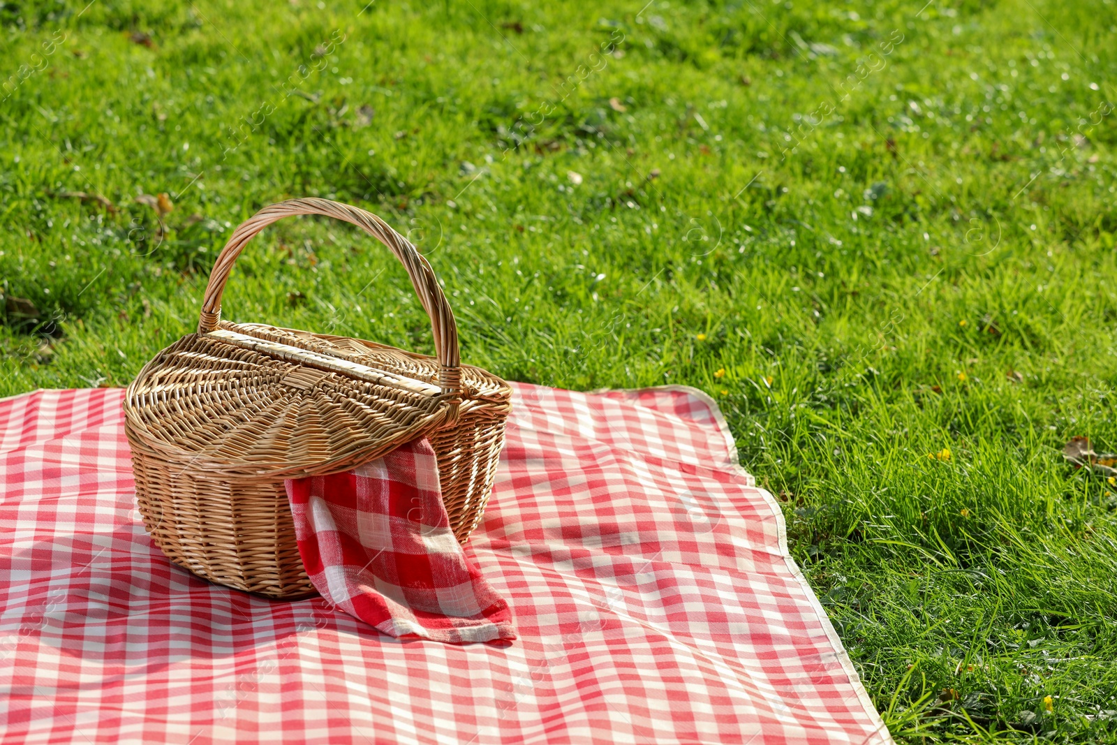 Photo of One picnic wicker basket with checkered napkin and blanket on green grass. Space for text