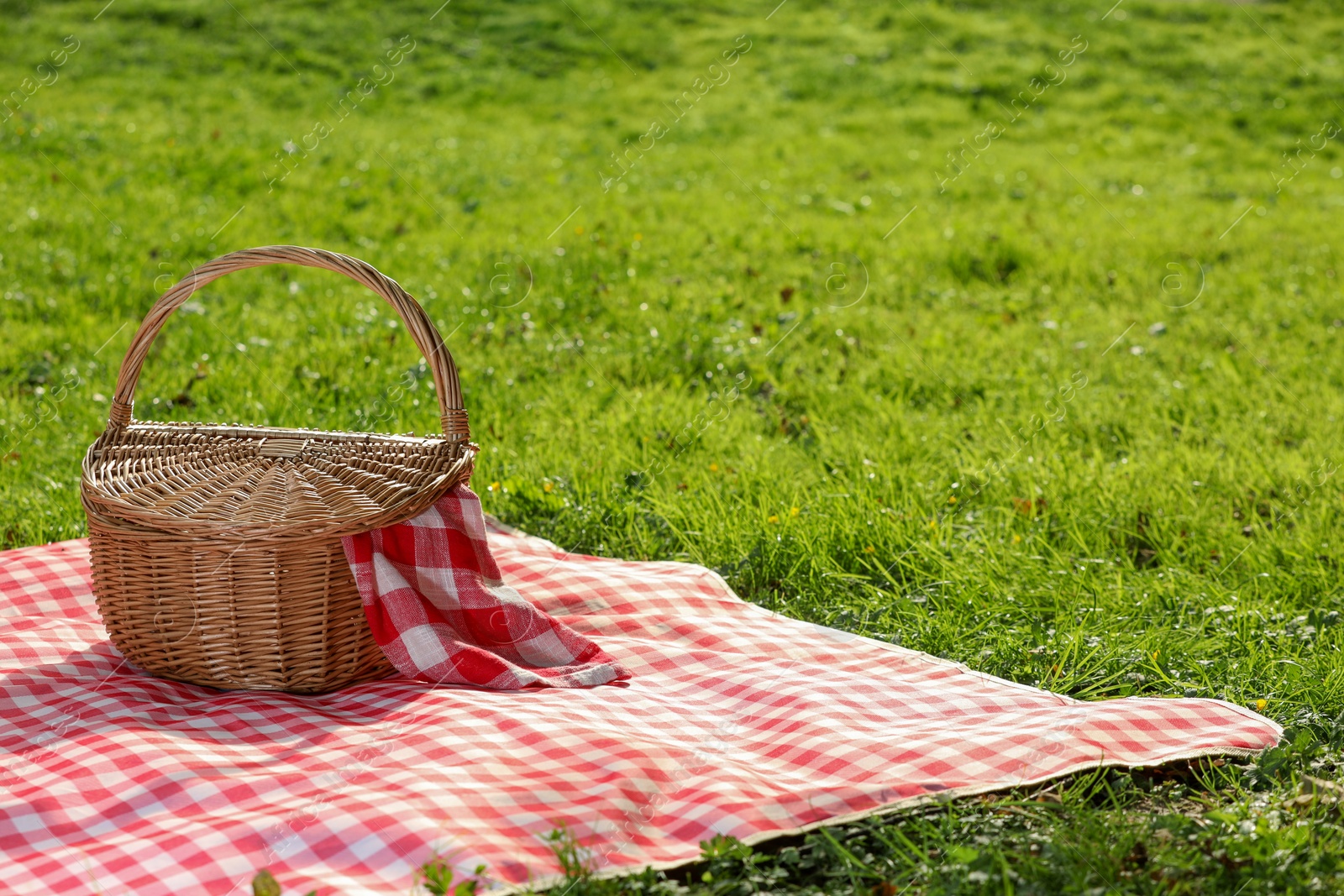 Photo of One picnic wicker basket with checkered napkin and blanket on green grass. Space for text