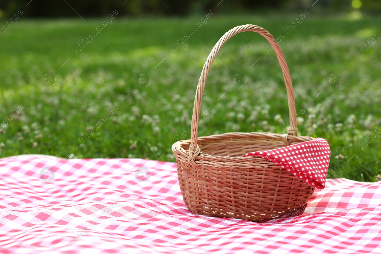 Photo of One picnic wicker basket with checkered napkin and blanket on green grass. Space for text