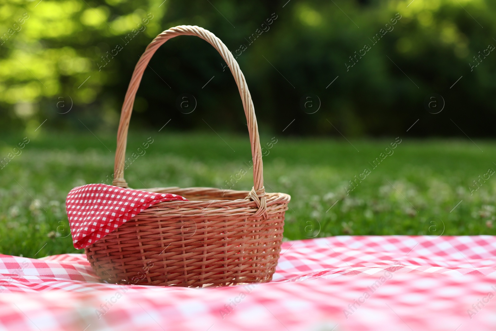 Photo of One picnic wicker basket with checkered napkin and blanket on green grass. Space for text