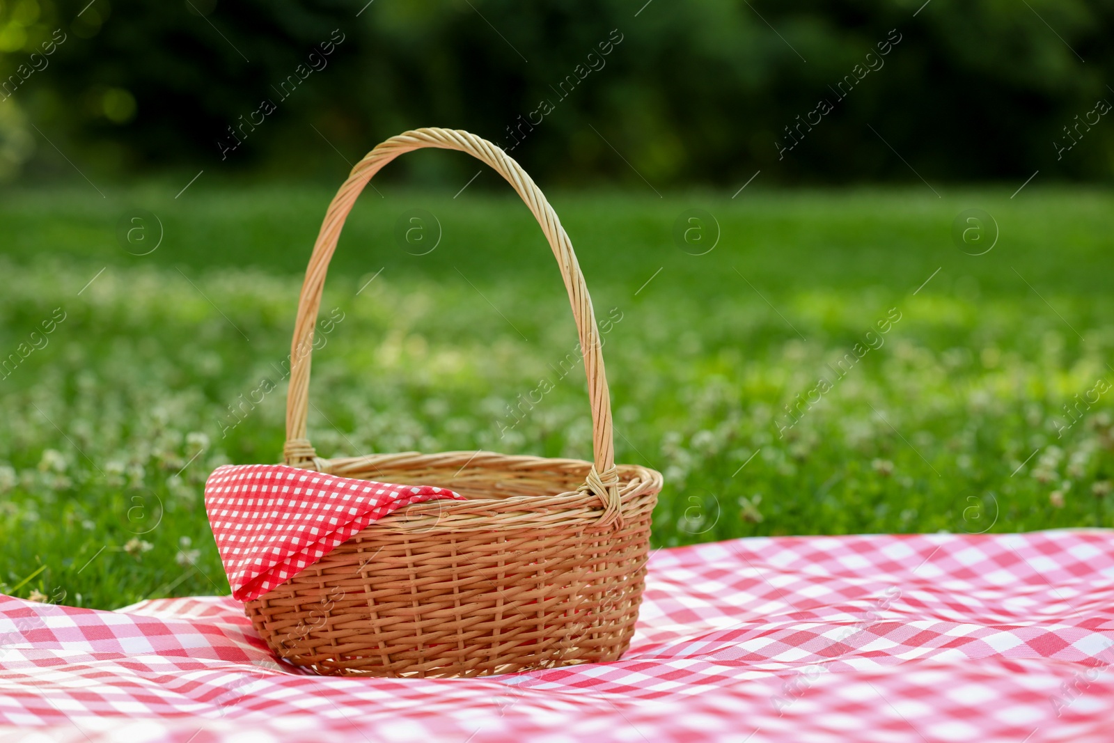 Photo of One picnic wicker basket with checkered napkin and blanket on green grass. Space for text