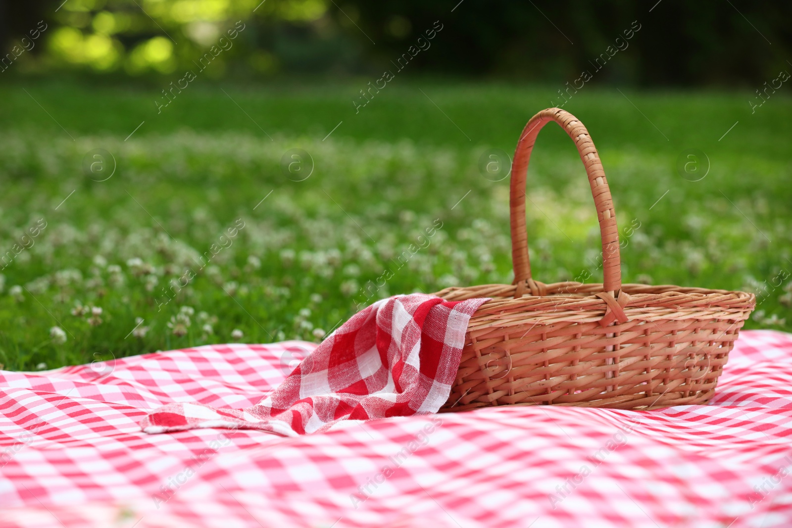 Photo of One picnic wicker basket with checkered napkin and blanket on green grass. Space for text