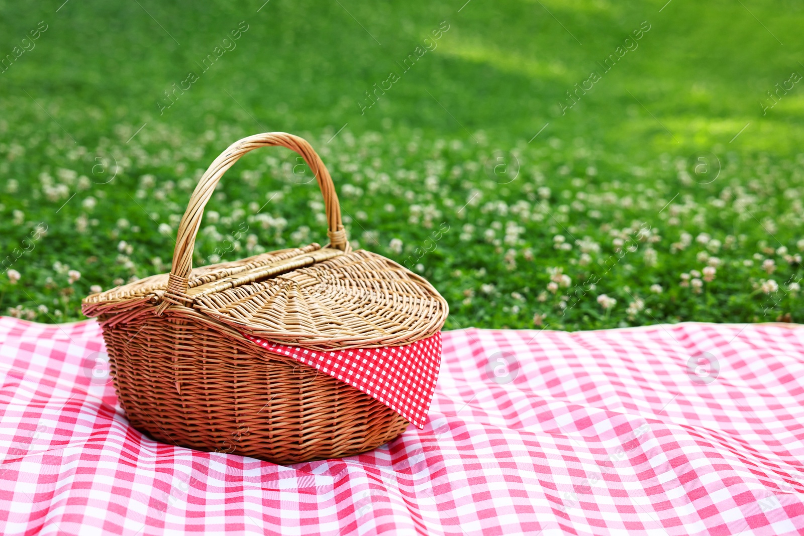 Photo of One picnic wicker basket with checkered napkin and blanket on green grass. Space for text