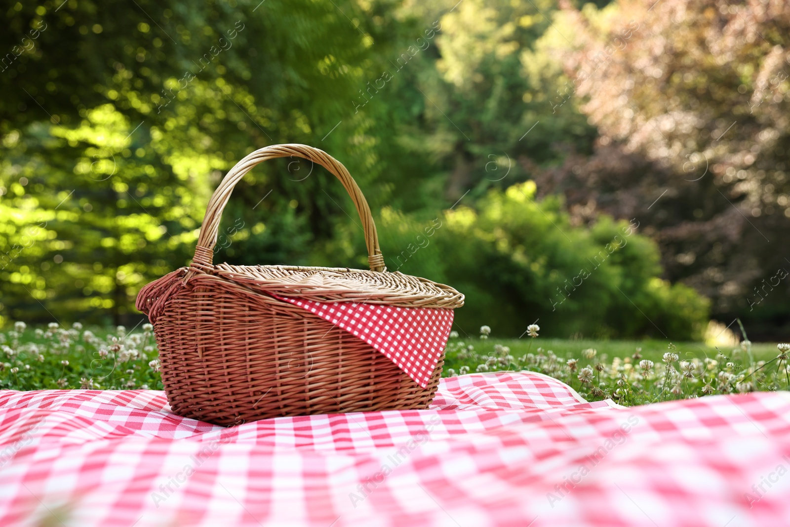 Photo of One picnic wicker basket with checkered napkin and blanket on green grass. Space for text