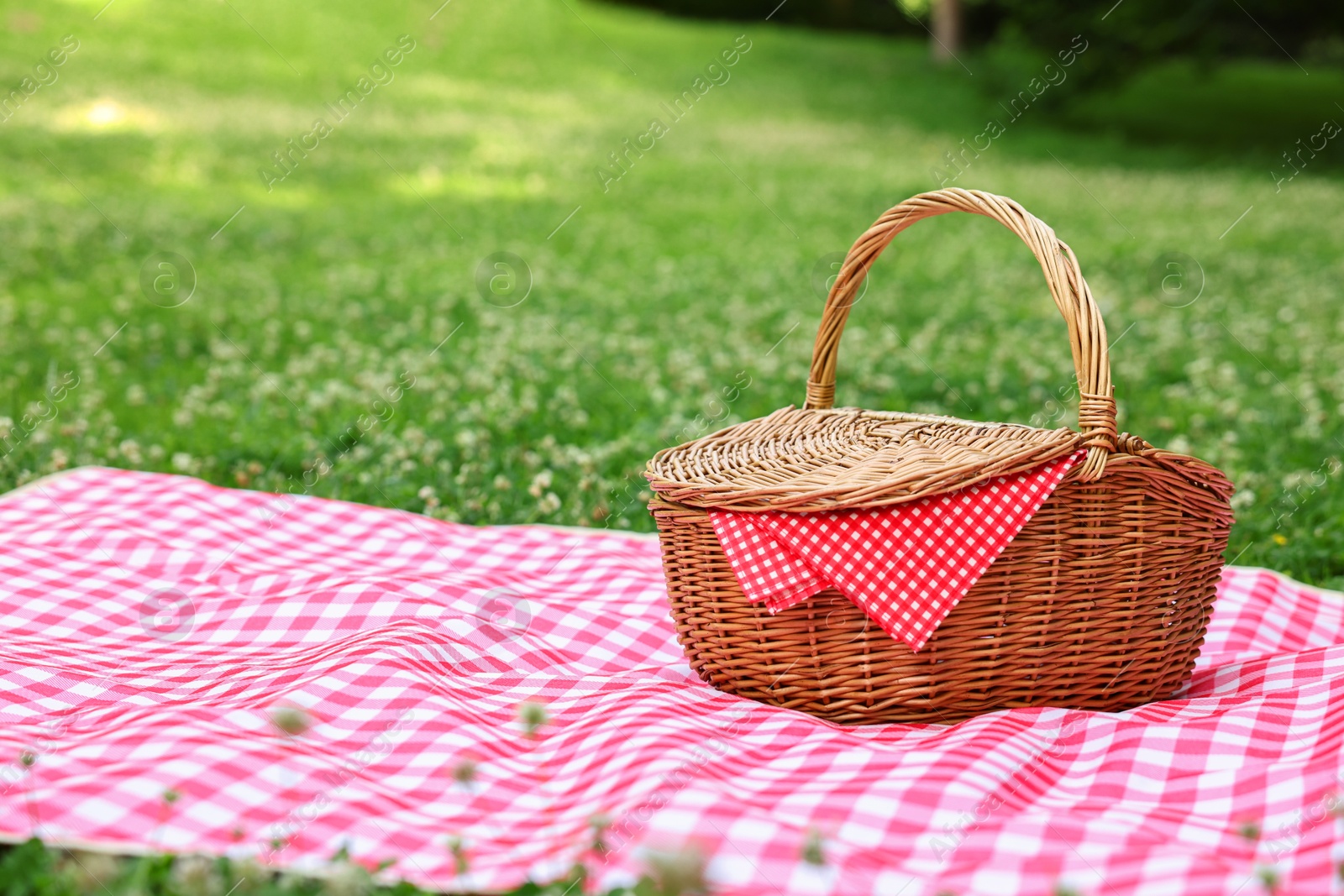 Photo of One picnic wicker basket with checkered napkin and blanket on green grass. Space for text