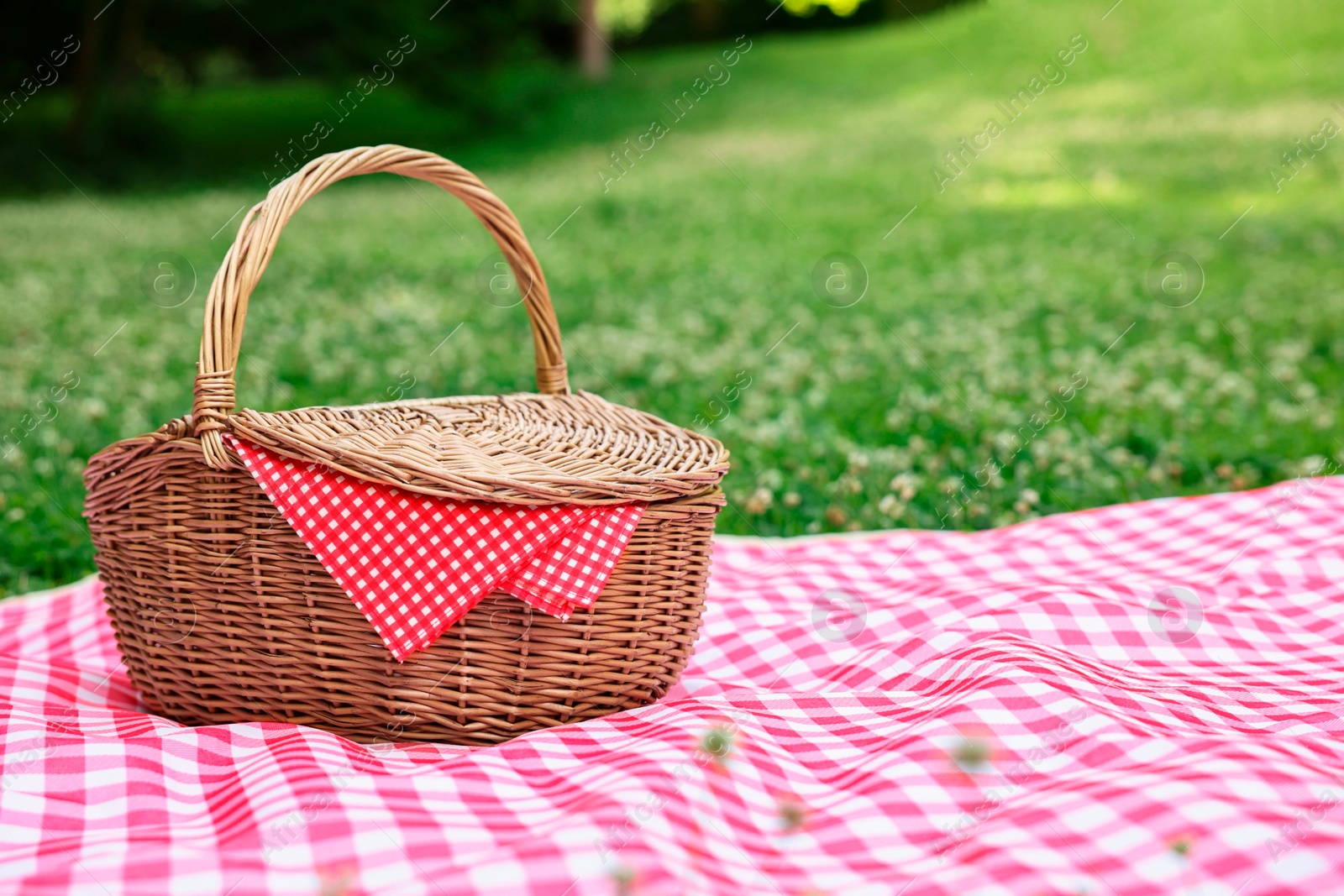 Photo of One picnic wicker basket with checkered napkin and blanket on green grass. Space for text