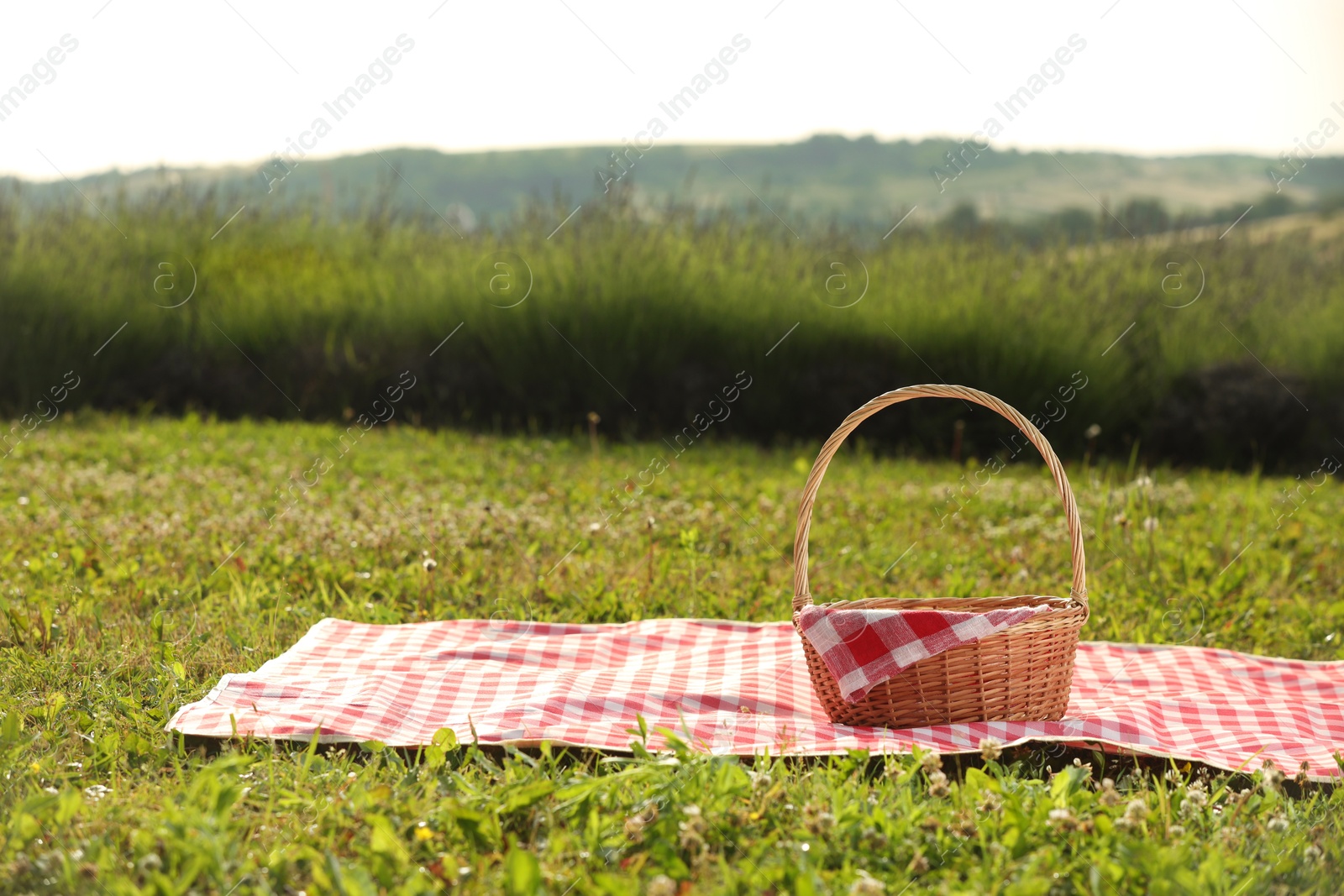 Photo of Picnic wicker basket with napkin and red checkered blanket on green grass outdoors