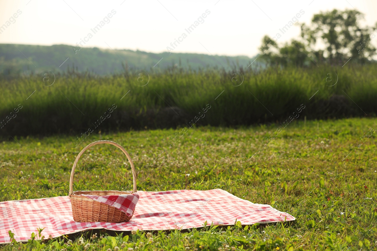 Photo of Picnic wicker basket with napkin and red checkered blanket on green grass outdoors