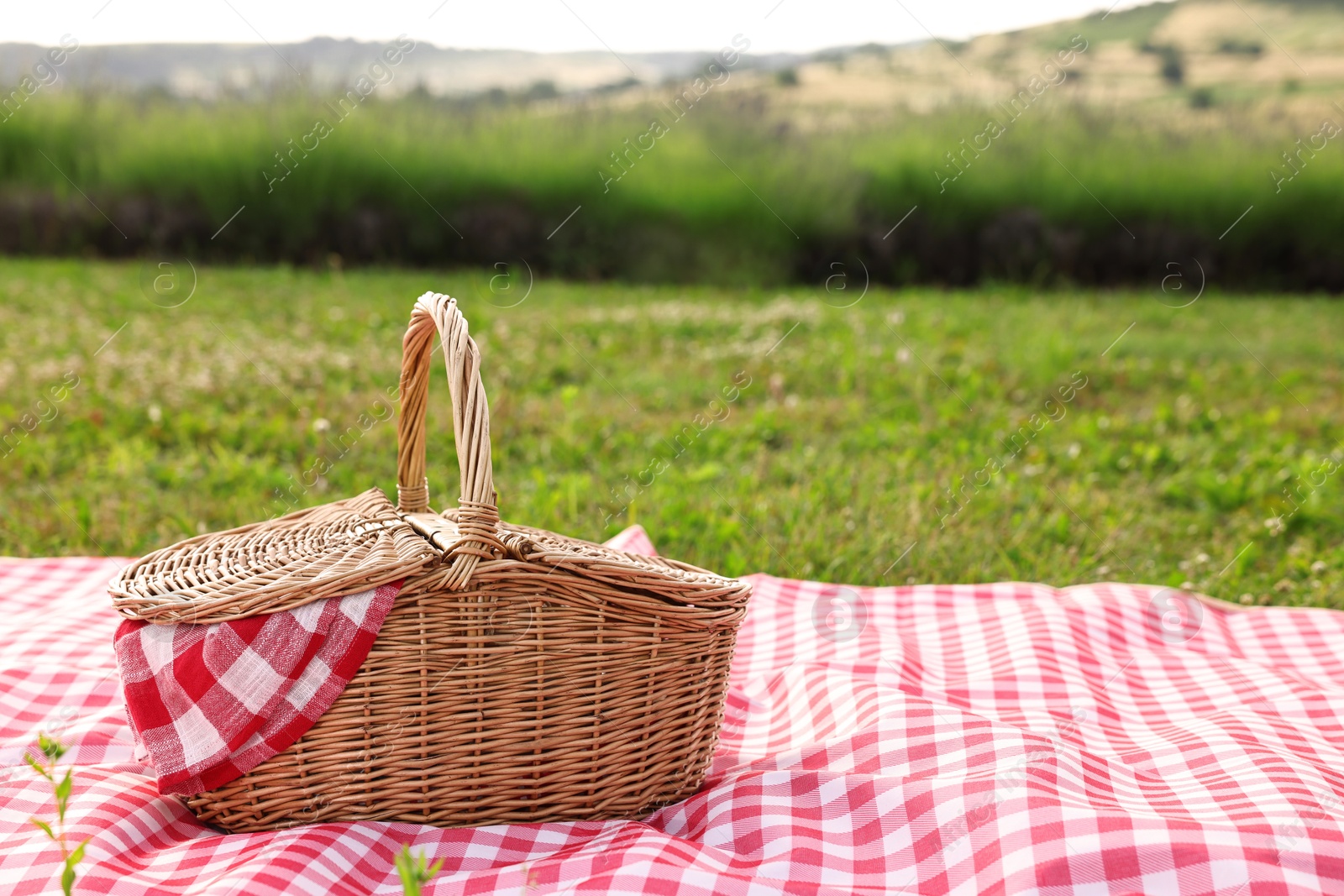 Photo of Picnic wicker basket with napkin and red checkered blanket on green grass outdoors, space for text