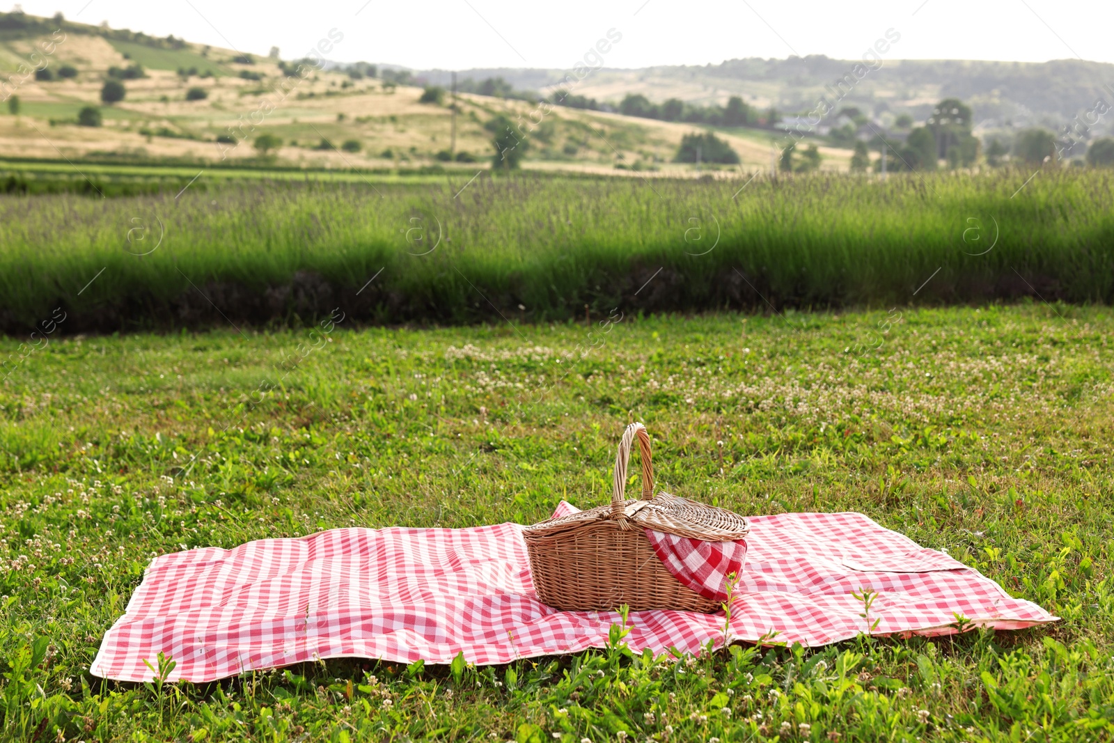 Photo of Picnic wicker basket with napkin and red checkered blanket on green grass outdoors